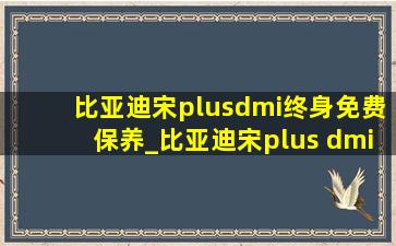 比亚迪宋plusdmi终身免费保养_比亚迪宋plus dmi免费保养